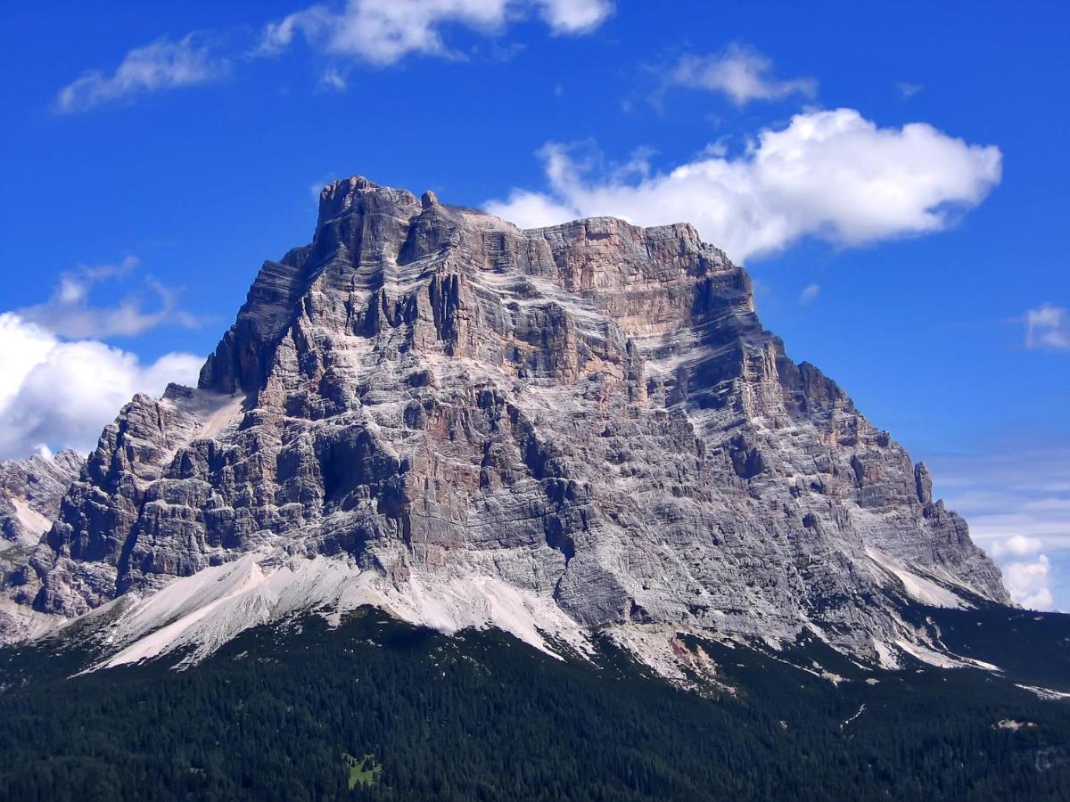 Hotel Belvedere Dolomiti Pieve di Cadore Exteriér fotografie