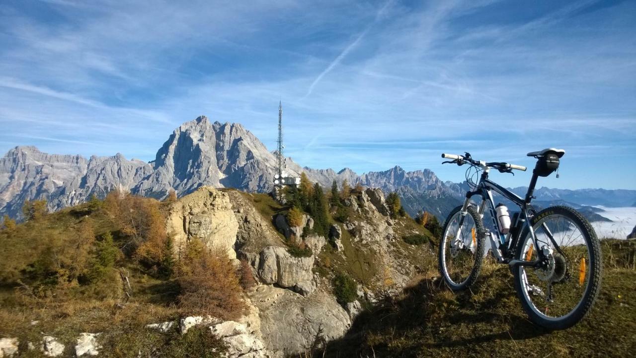 Hotel Belvedere Dolomiti Pieve di Cadore Exteriér fotografie